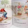 I Can Read Biscuit Children Story Kids Early Educaction Reading Bᴏᴏᴋ (27 Bᴏᴏᴋs) - kidsbooks.ae