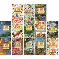 I Spy Reader Collection Visual Discovery 13 English Picture books - kidsbooks.ae