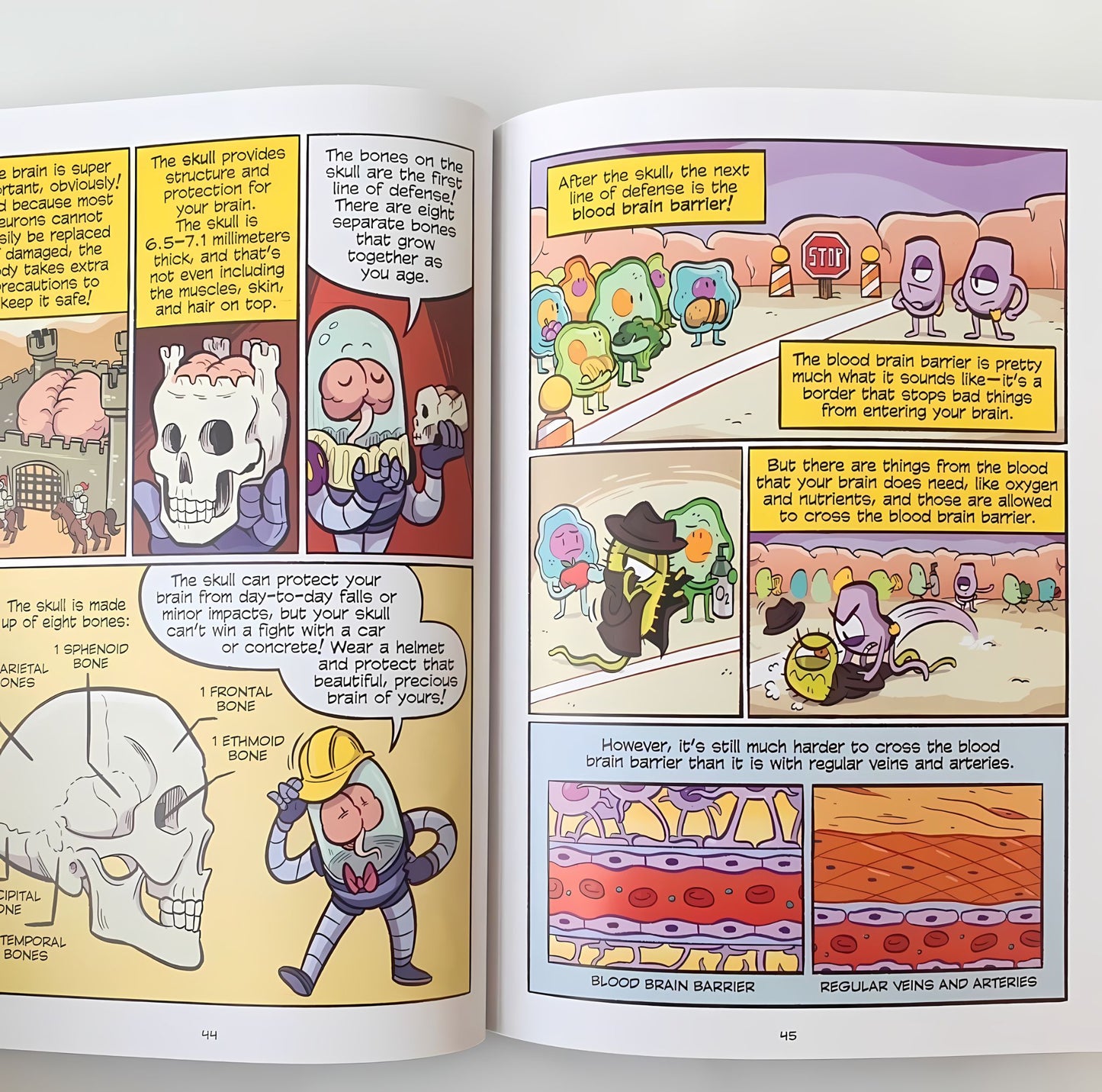 Science Comics 26 books - kidsbooks.ae