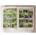 The Tintin Collection - kidsbooks.ae